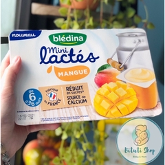 Sữa chua Bledina mini lactes