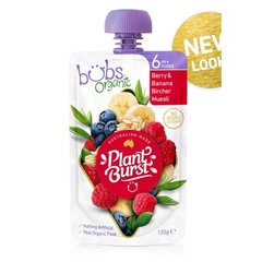 Trái cây nghiền Bubs Organic 120gr