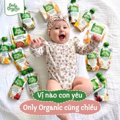 Túi Only Organic vị mặn