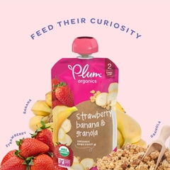 Trái cây nghiền Plum Organics 100g