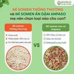 Mì rau củ ăn dặm Anpaso