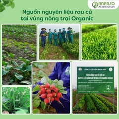 Mì rau củ ăn dặm Anpaso