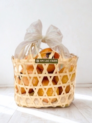 Mận Mỹ October