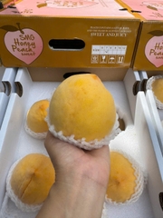 Đào Vàng Bắc Kinh- SMG