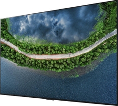 OLED Tivi 4K LG 55 inch (55GXPTA) UHD ThinQ AI Mới 2020 | Hàng chính hãng