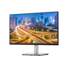 Màn hình DELL P2422HE 23.8 inch FHD IPS 60Hz