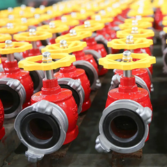 Van góc chữa cháy DN50 83MEC-BQP (Tem kiểm định)