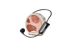 Loa trợ giảng không dây E20W (Mic không dây cài đầu)