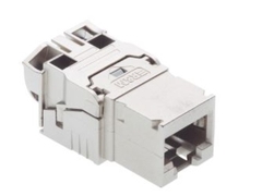 Module RJ45 u-C6 EL-SP-10