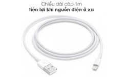 CABLE USB-C TO LIGHTNING CABLE (2 M)-ITS