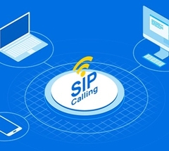 License nâng cấp mở rộng 30 cuộc gọi đồng thời và 250 tài khoản SIP | Hàng chính hãng