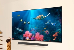 SMART TV LG 100 inch QNED EVO 4K Mini-LED 100QNED86AS (2025) | Hàng chính hãng