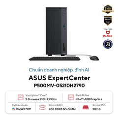 Máy tính để bàn ASUS ExpertCenter P500MV-05210H2790