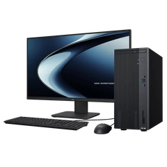 Máy tính để bàn ASUS ExpertCenter P500MV-05210H2790