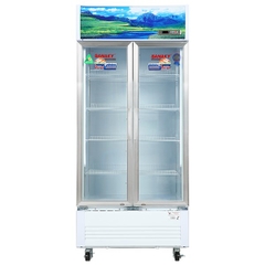 Tủ mát Sanaky VH-8009HP | Hàng chính hãng