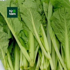 Cải Bẹ Xanh | 300g