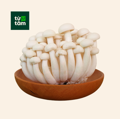 Nấm Linh Chi Trắng | 125g