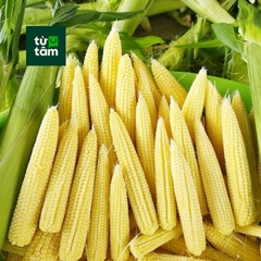 Bắp Non | 150-170g