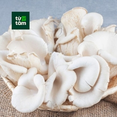 Nấm Sò | 200-250g