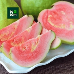 Ổi Ruột Đỏ | 950-1000g