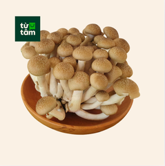 Nấm Linh Chi Nâu | 125g