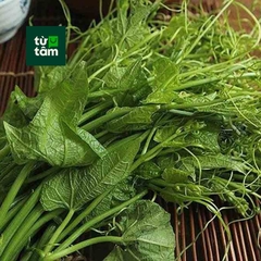 Đọt Su | 500g
