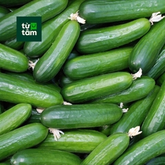 Dưa Leo Baby | 250-300g