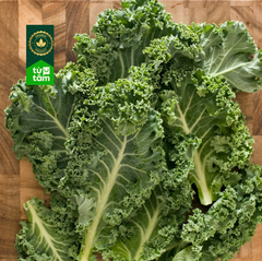 Hữu Cơ _ Cải Kale | 200g