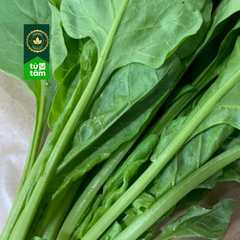 Hữu Cơ _ Cải Bó Xôi Nhiệt Đới | 250g