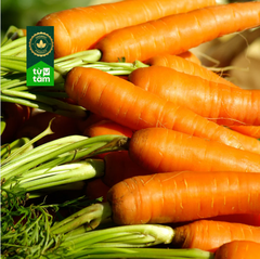 Hữu Cơ _ Cà Rốt | 250g