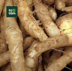 Củ Dong (Bình Tinh) | 500g