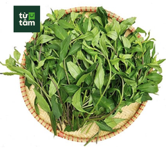 Bầu đất Tây Nguyên | 300g