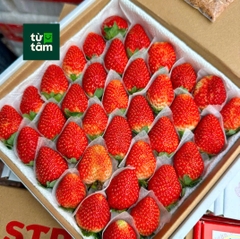 Dâu Đà Lạt size 36 | 500g