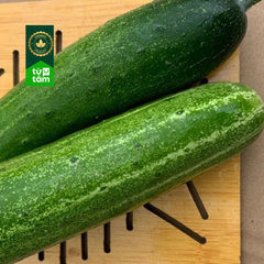 Hữu Cơ _ Dưa Leo Việt Nam | 300g