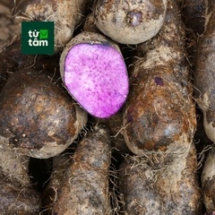 Khoai Mỡ | 350-400g