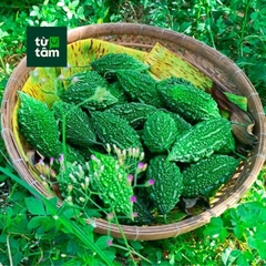 Khổ Qua Rừng | 250-300g