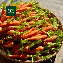 Cà Rốt Baby | 200g