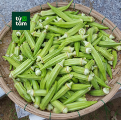 Đậu Bắp | 300g