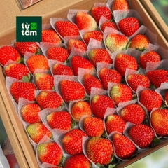 Dâu Đà Lạt size 49 | 500g