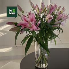 Hoa Ly Thường | 5 Cành