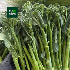 Súp Lơ Baby | 500g