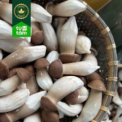 Nấm Mối	| 120-150g