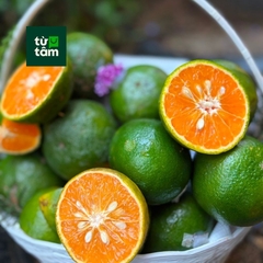 Cam Sành | 950-1000g