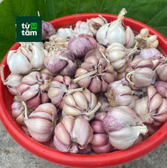 Tỏi | 50g
