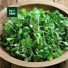 Xà Lách Xoong | 300g