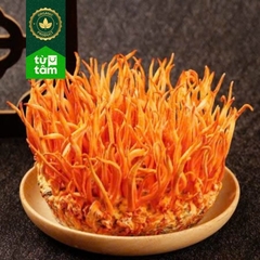 Nấm Đông Trùng Hạ Thảo | 200g