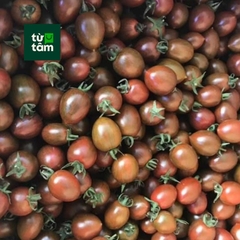 Cà Chua Bi Socola | 250-300g