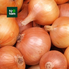 Hành Tây | 450-500g