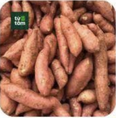 Khoai Lang Mật | 900-1000g
