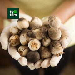 Nấm Rơm | 200g